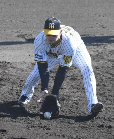 守備練習する中野