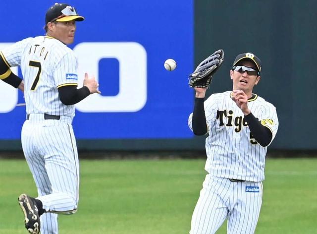 阪神　拙守連発　ケースノックで“６失策”　筒井コーチ「まだまだ足りない」