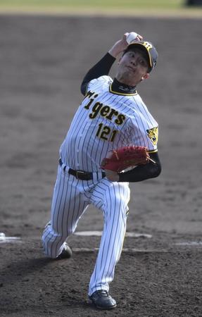 ５回から登板し１失点の阪神・才木浩人＝安芸市営球場（撮影・石井剣太郎）