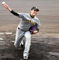 　直球と変化球を駆使して打者を手玉に取る藤浪（撮影・田中太一）