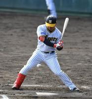 ６回、対外試合初打席を迎えた前川（撮影・石井剣太郎）