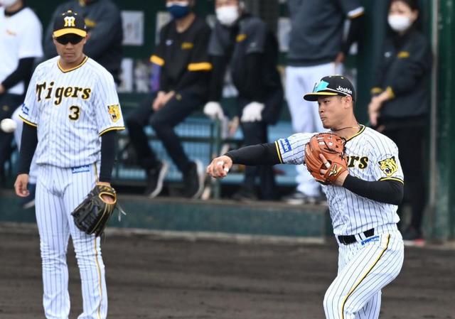 阪神は「4番・三塁」佐藤輝、糸井、ロハスもスタメン 楽天と練習試合