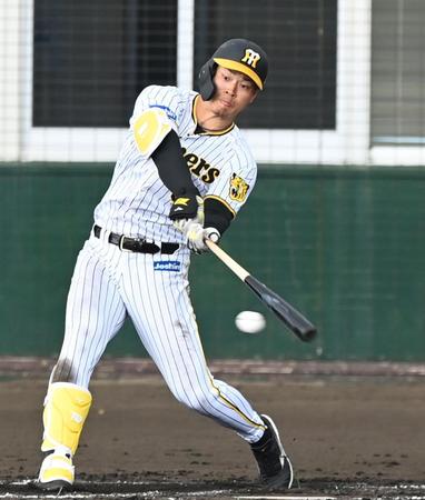 　４回、右前打を放つ佐藤輝（撮影・飯室逸平）