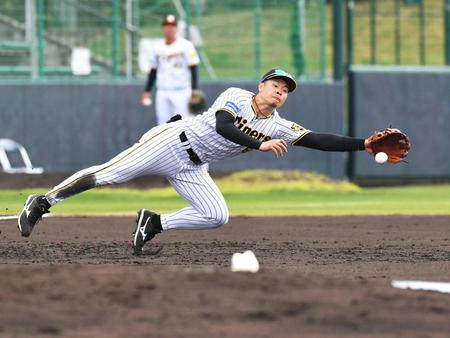 　３回、山崎の打球に飛びつく佐藤輝。「４番・三塁」で攻守に躍動感を見せた（撮影・西岡正）