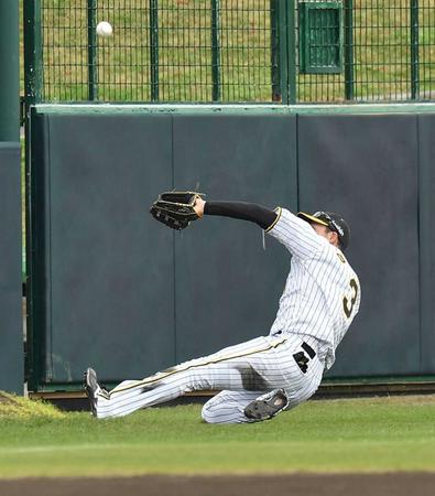 　２回、黒川の左飛をスライディングキャッチする大山