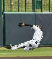 　２回、黒川の左飛をスライディングキャッチする大山