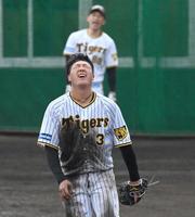 　矢野監督のノックに苦しそうに天を仰ぐ大山（撮影・飯室逸平）