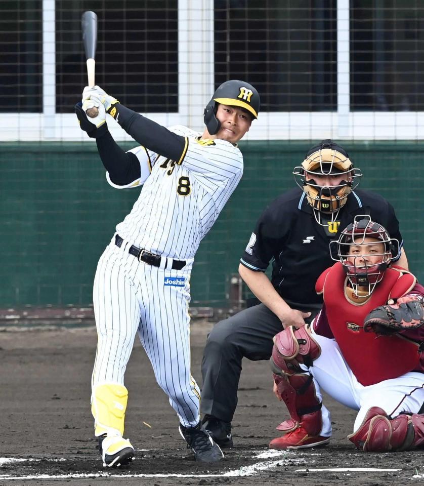 　１回、左前打を放つ佐藤輝（撮影・田中太一）