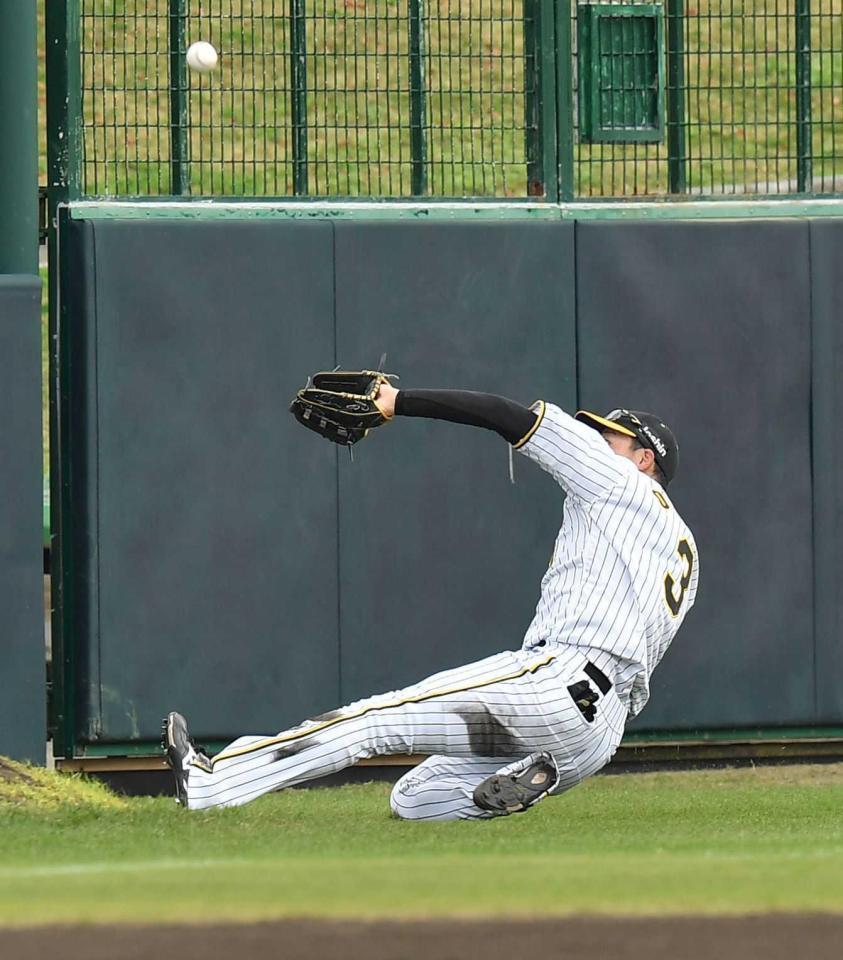 　２回、黒川の左飛をスライディングキャッチする大山