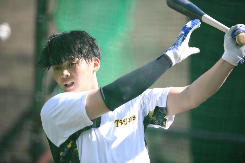 　打撃練習をする阪神・井上＝１１日