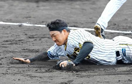 　飛びつきながら捕る大山（撮影・田中太一）