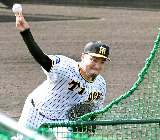 阪神・秋山、初の開幕投手へ順調　フリー打撃初登板は狙い通り「ストライクゾーンに」