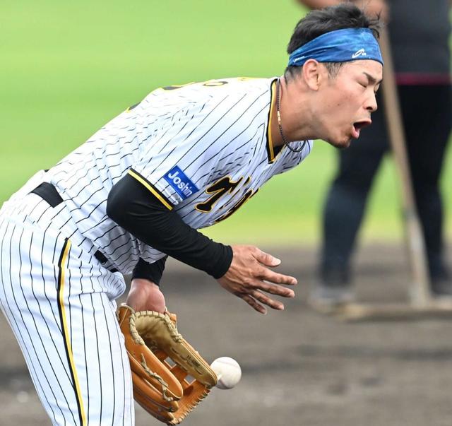 阪神・佐藤輝「しんどいです」デスノック初参加　矢野監督の“愛”にＫＯ寸前