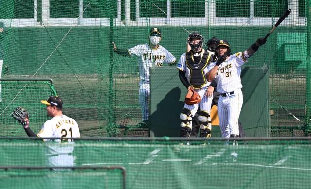 阪神・マルテも４番ＯＫ　フリー打撃で秋山から快音連発　矢野監督「１００打点挙げて」