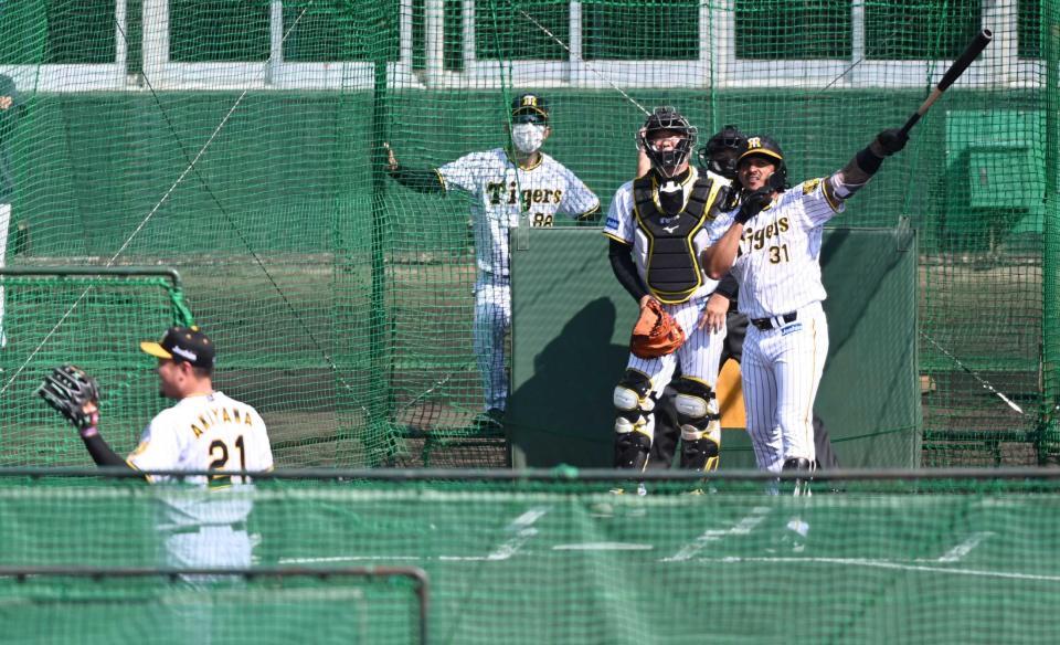 阪神 マルテも４番ｏｋ フリー打撃で秋山から快音連発 矢野監督 １００打点挙げて 阪神タイガース デイリースポーツ Online