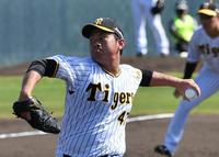 シート打撃に登板した桐敷（撮影・佐々木彰尚）