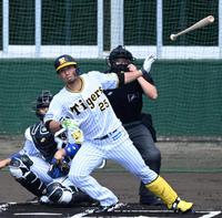 　シート打撃でタイムリー二塁打を放つ江越（撮影・飯室逸平）