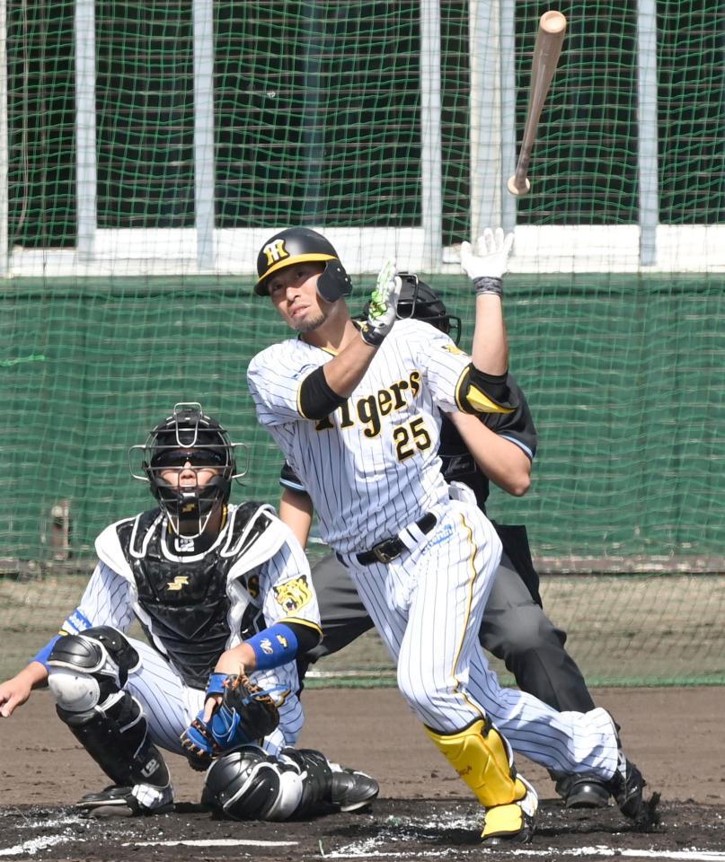 　シート打撃で３ランを放つ江越（撮影・飯室逸平）