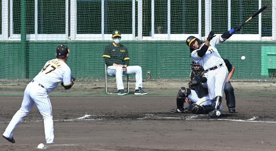 　シート打撃でマルテを三ゴロに斬る桐敷（撮影・飯室逸平）