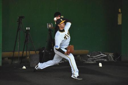 　ブルペン投球を行ったチェン