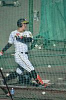 フリー打撃で豪快なフォロースルーを見せる前川