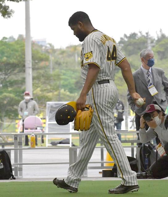 阪神・アルカンタラは左足関節のねんざ「しっかり治すことに集中」