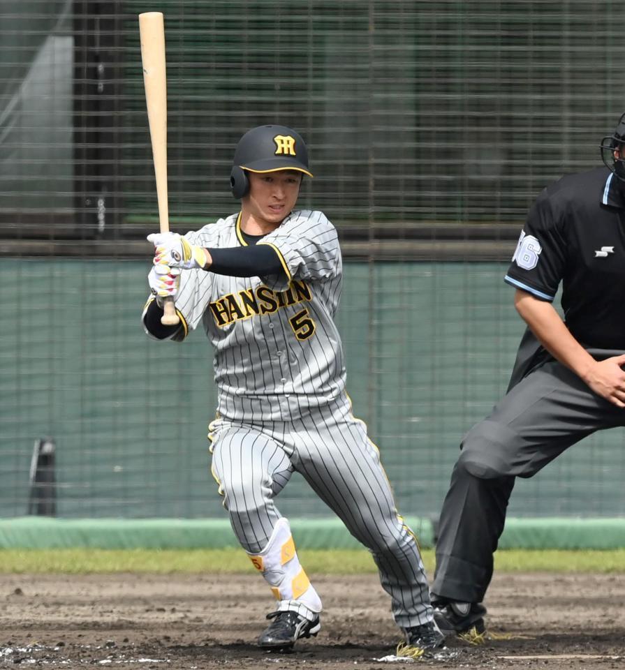 　３回、左前タイムリーを放つ近本（撮影・飯室逸平）