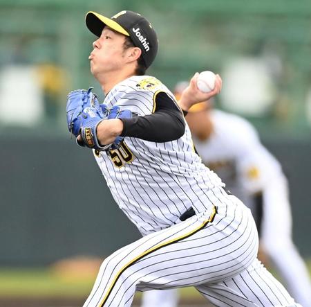 　先発し力投する青柳（撮影・山口登）