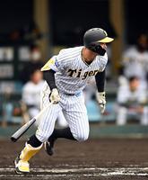 　７回、阪神・佐藤輝は中前に適時打を放つ（撮影・山口登）