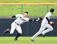 　１回、糸井は岡林の飛球を好捕する（撮影・山口登）