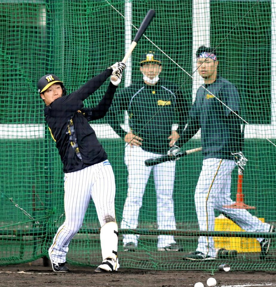　佐藤輝（右）も見つめる中、打撃練習する大山（撮影・飯室逸平）