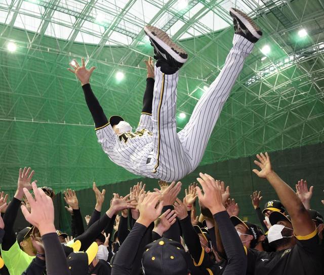 阪神・矢野監督サプライズの“予祝”胴上げに「気持ちよかった」