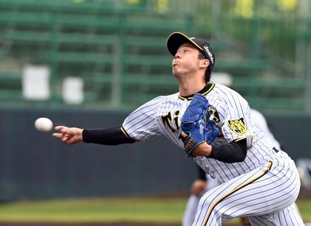 　紅白戦で力投する青柳（撮影・山口登）