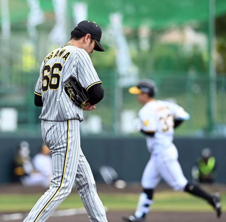 　５回、小川は糸原に２ランを許す（撮影・山口登）