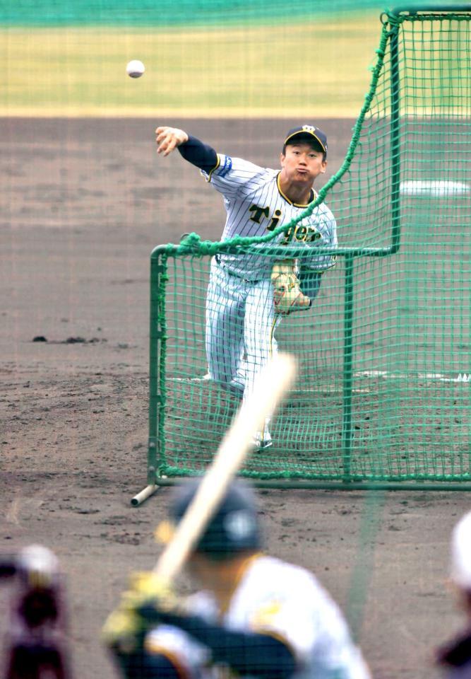 　フリー打撃初登板で圧巻の投球を見せた森木（撮影・神子素慎一）