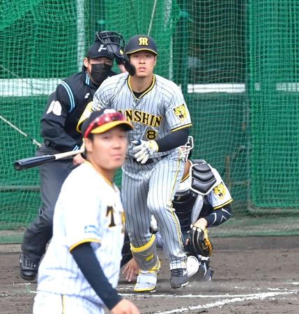 　７回、大山（手前）の前で右越えソロを放つ佐藤輝（撮影・飯室逸平）