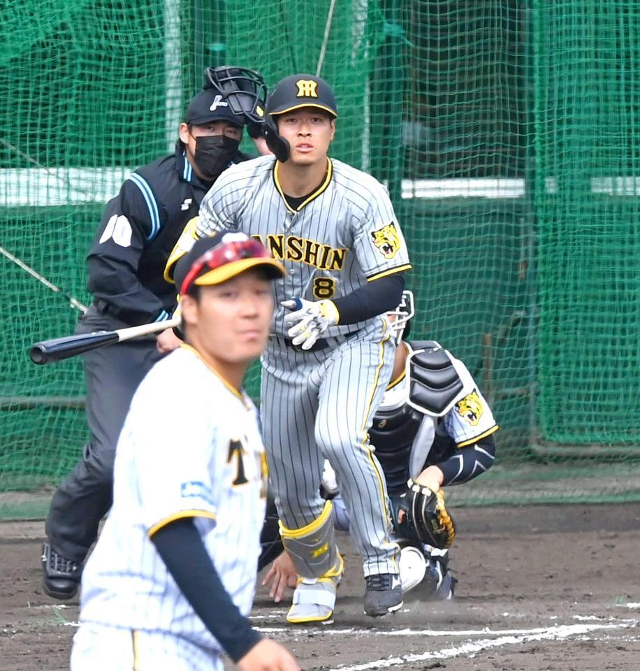 　７回、大山（手前）の前で右越えソロを放つ佐藤輝（撮影・飯室逸平）