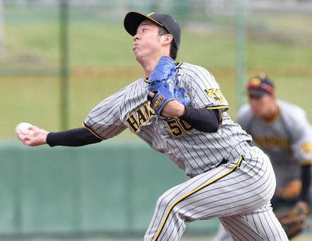 力投する青柳（撮影・棚橋慶太）