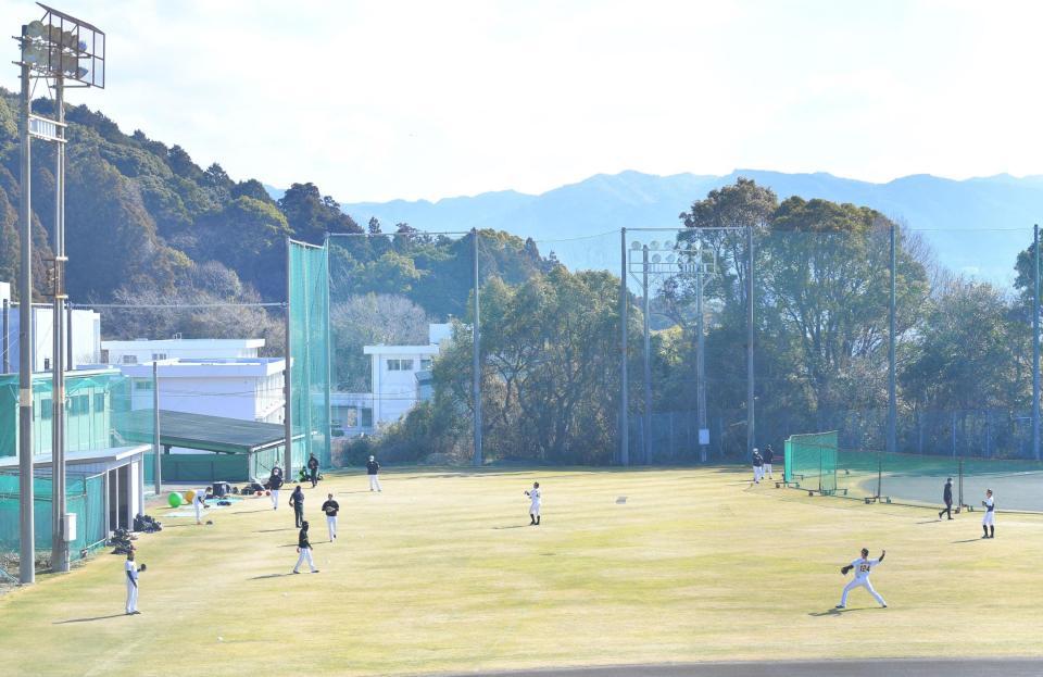 　間隔を取りキャッチボールなど自主練習に励む阪神投手陣（撮影・吉澤敬太）