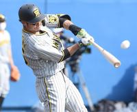 　７回、２ランを放つ江越（撮影・棚橋慶太）