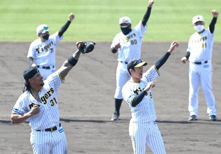 ラパンパラで充実のキャンプを締める近本、マルテら阪神ナイン（撮影・飯室逸平）