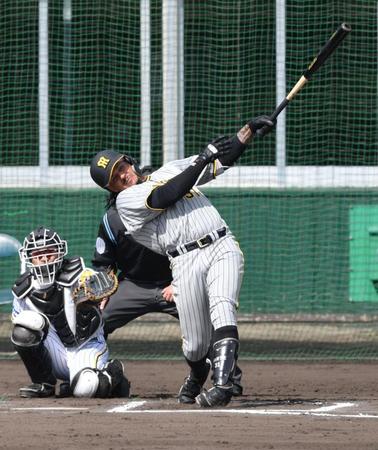 　紅白戦でマルテは左越えにソロを放った＝２月２４日