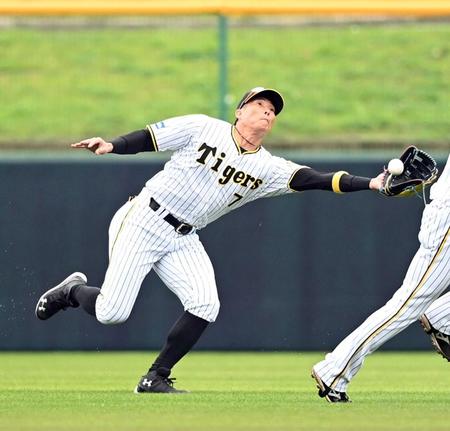 　キャンプ野手ＭＶＰに選ばれた糸井