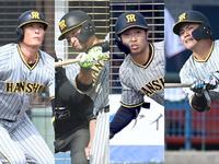 　外野のレギュラーを争う（左から）糸井、江越、島田、小野寺