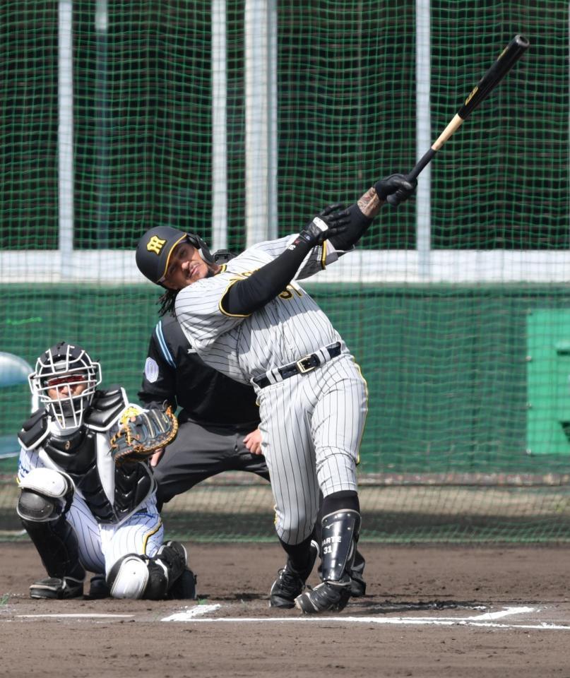 　紅白戦でマルテは左越えにソロを放った＝２月２４日