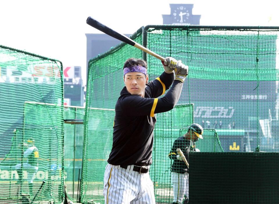 　久々の甲子園練習で精力的にバットを振る佐藤輝（撮影・田中太一）
