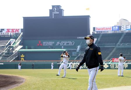 　投手陣がキャッチボールをする中、内野へ移動する矢野監督（撮影・田中太一）
