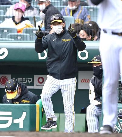 ６回、リクエストする矢野監督（撮影・飯室逸平）