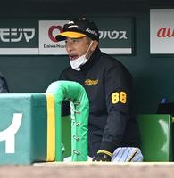 　ベンチから戦況を見守る矢野監督（撮影・飯室逸平）