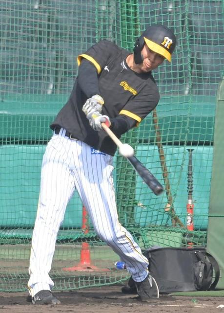 阪神・佐藤輝が「4番・右翼」でスタメン マルテ、大山とクリーンアップ【スタメン】